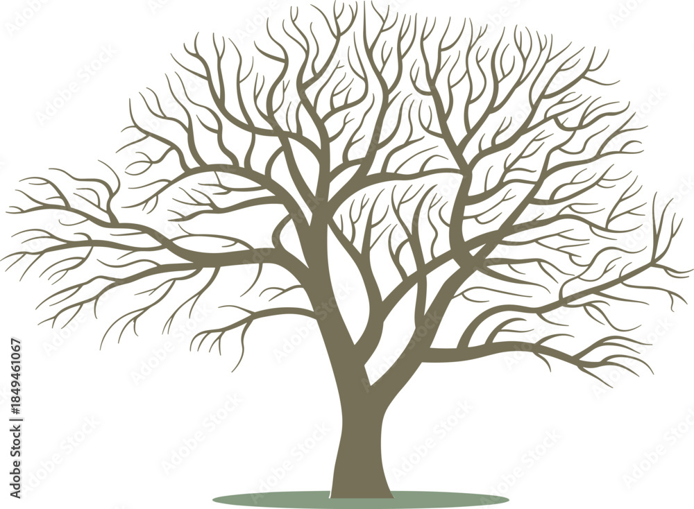 Obraz premium Stylized Detailed Vector Illustration of a Bare Deciduous Tree with Intricate Withered Branches, Representing Winter, Loneliness, or Natural Silhouette on a White Background.