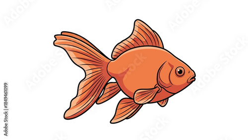 Orange goldfish illustration with flowing fins and tail swimming in clear water, perfect for aquatic themes and pet illustrations