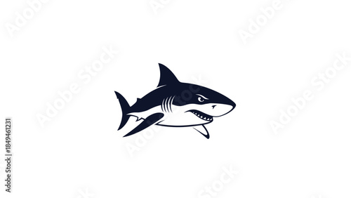 Fierce Shark Illustration for Marine Life and Ocean Themes