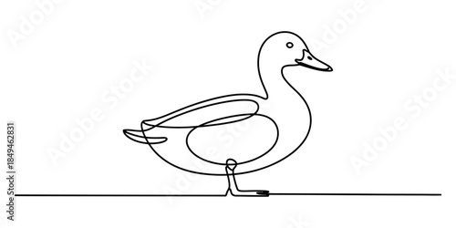 A minimalist one-line drawing of a duck Vector, illustration