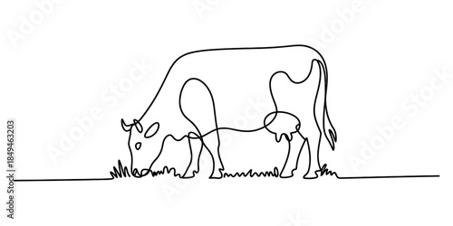 A minimalist continuous line drawing of a cow grazing on a patch of grass Vector, illustration