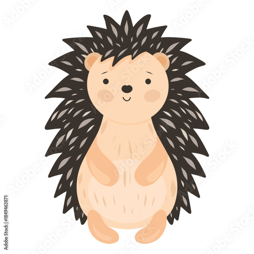 Hand drawn cute hedgehog character vector illustration. Cartoon animal decor for nursery baby and kids room. Forest animal