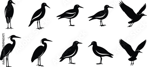 Waterfowl Family Silhouettes Vector Set Featuring Mother Ducks, Geese, and Ducklings, Ideal for Wildlife, Pond Life, Spring, and Education Graphic Design Projects