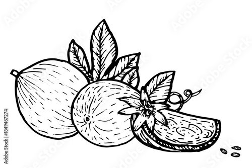 Passion fruit illustration. Cut and whole passionfruit with seeds, isolated tropical slice, natural healthy food art, vintage line sketch for food design, cosmetic products.