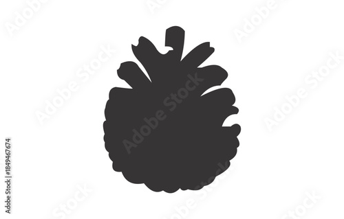 Pine Cones as Natural Forest Elements, Not Recognizable People or Protected Property