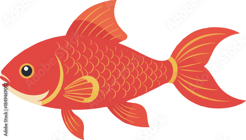 Goldfish Swimming Larval Body