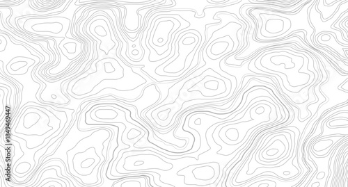 Topographic map and place for texture. Vector illustration. Abstract topographic contours map background. 
