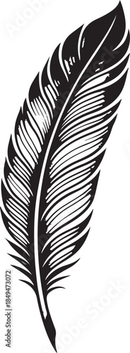 A single black quill pen with fluffy plumage and a drop of ink is isolated on a white background as a vector illustration of calligraphy art