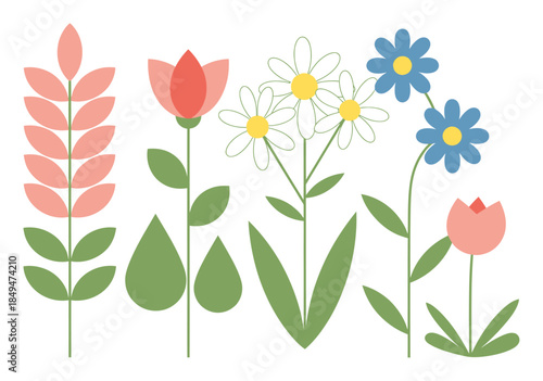 Minimalist Botanical Garden Illustration