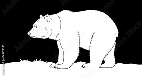 Monochrome Illustration of a Majestic Polar Bear Standing on Snow.