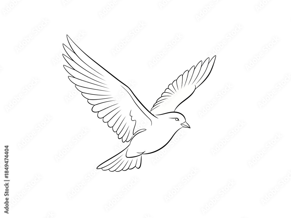 Fototapeta premium White dove flying with wings spread out