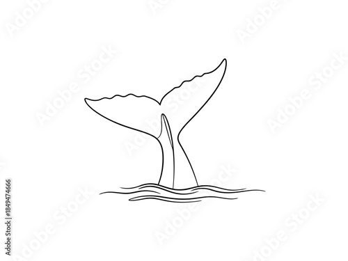 Whale tail