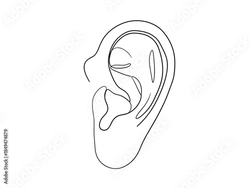 Human ear anatomy illustration with detailed inner ear structure and labeled parts