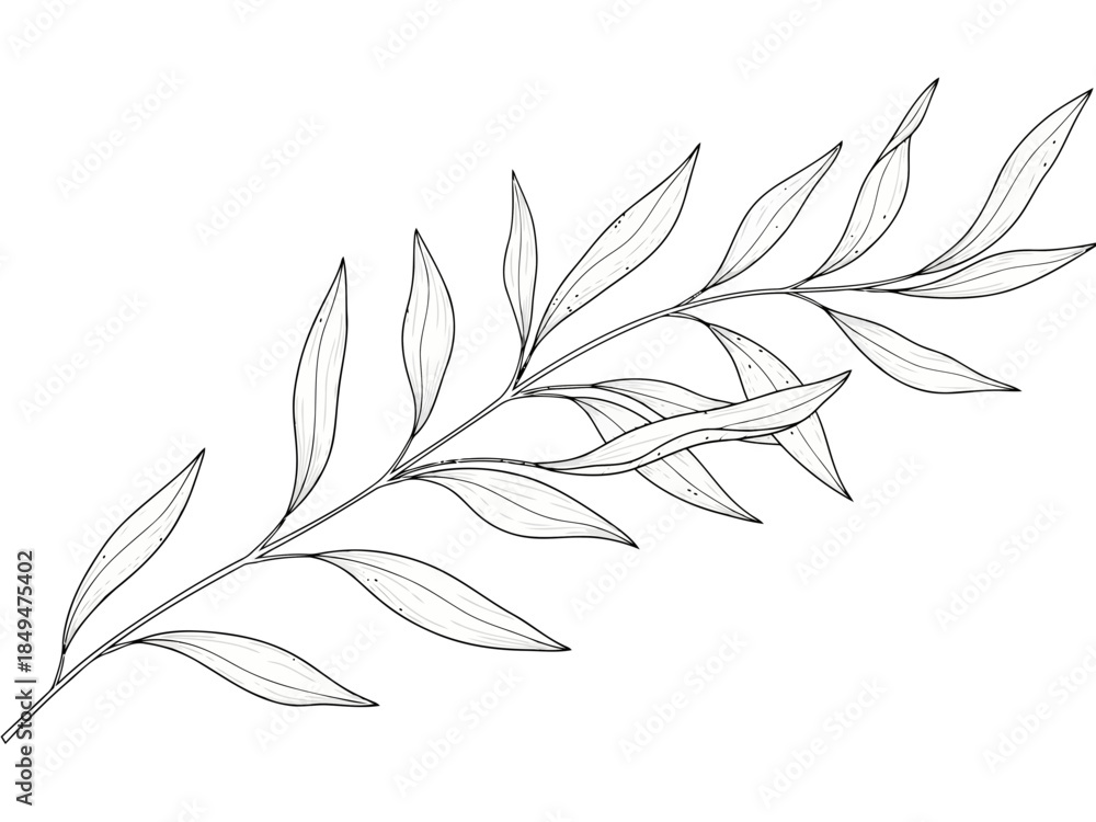 Naklejka premium A delicate line drawing of a leafy branch with multiple leaves extending from a central stem