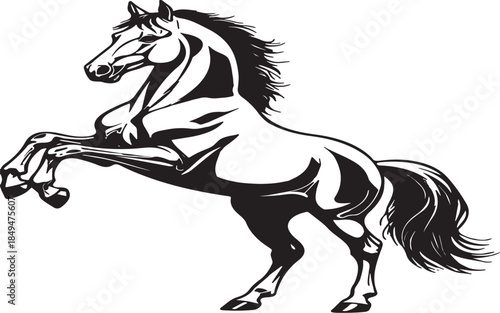 A majestic black and white illustration of a rearing horse in motion