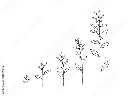 Line drawing of growing plant stages from seedling to mature plant with leaves