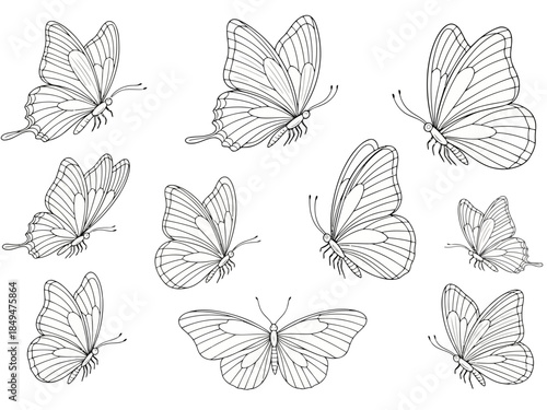 Nine butterflies in black and white illustration style