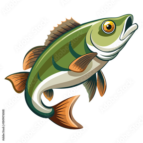 Vibrant green fish with orange fins and white belly swimming aggressively on transparent background