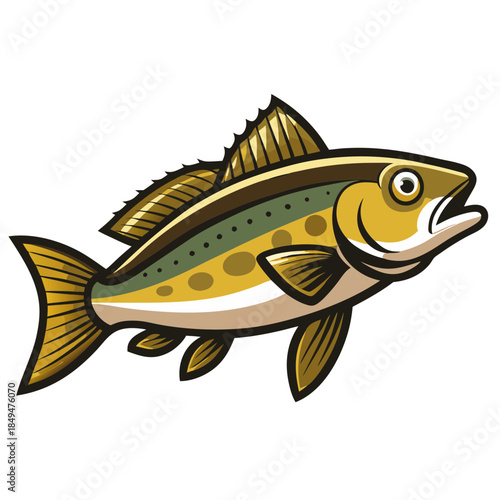 Colorful illustration of a trout fish with distinctive spots and fins on transparent background