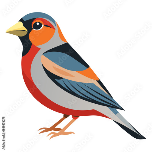 Colorful bird with vibrant feathers and distinctive beak on transparent background