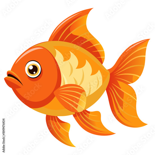 Colorful orange goldfish with big eye and fins on transparent background