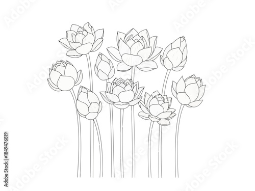 Elegant black and white line drawing of a bouquet of flowers with delicate petals and stems