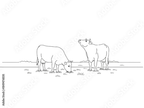 Black and white line drawing of two cows and a calf grazing in a field