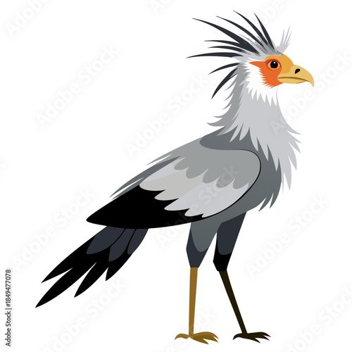 Colorful Secretarybird with distinctive crest and long legs on transparent background
