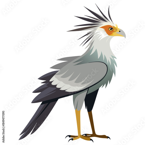 Colorful Secretarybird with distinctive crest and long legs on transparent background