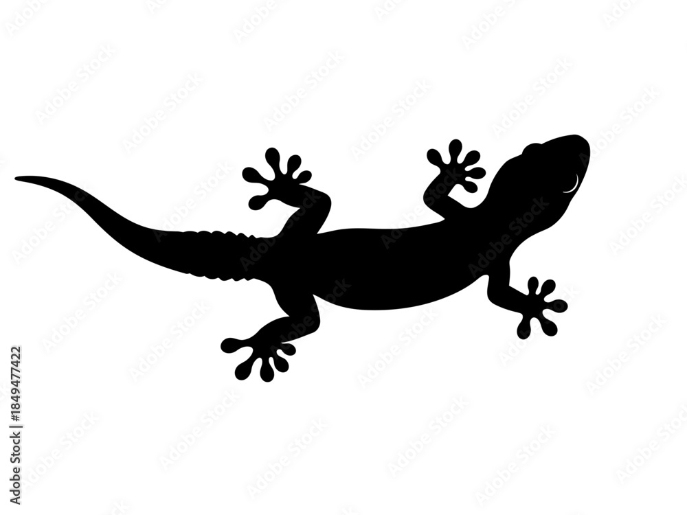 Fototapeta premium Black silhouette of a gecko lizard standing on a