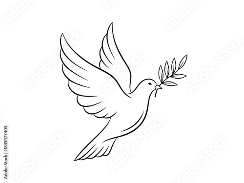 White dove with olive branch flying