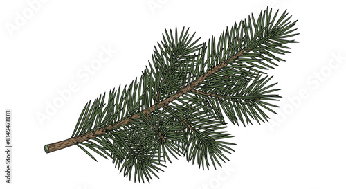 Detailed illustration of a fresh evergreen spruce branch with vibrant green needles, isolated on a clean white background.