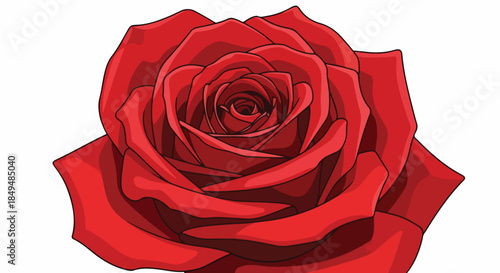 Close-up illustration of a vibrant red rose against a clean white background.