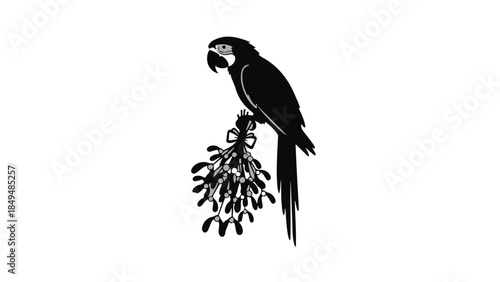 Elegant black silhouette of a parrot perched on a mistletoe branch