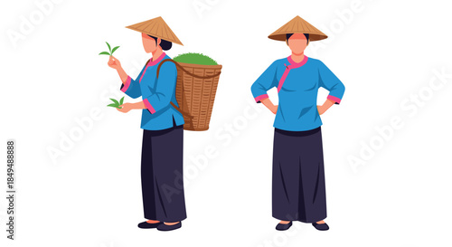 An Asian woman in traditional clothing and a conical hat is shown picking tea leaves and carrying a basket on her back.