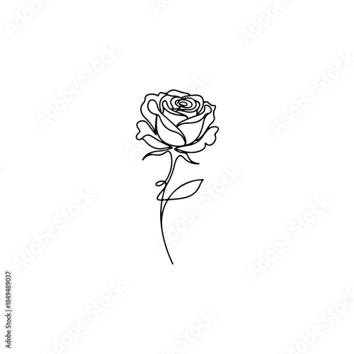Minimalist rose continuous line art isolated on transparent background