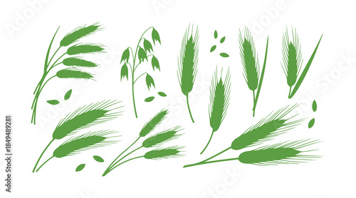 Wheat ears are set up. Oat, rye, or barley spikes for the design of beer, bread, and flour packaging. These symbols reflect healthy, natural farming food, with whole organic.