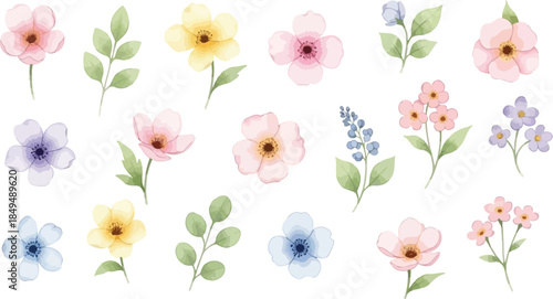 A beautiful collection of delicate watercolor pastel flowers and green leaves, individually rendered on a clean white background, perfect for spring and summer designs.