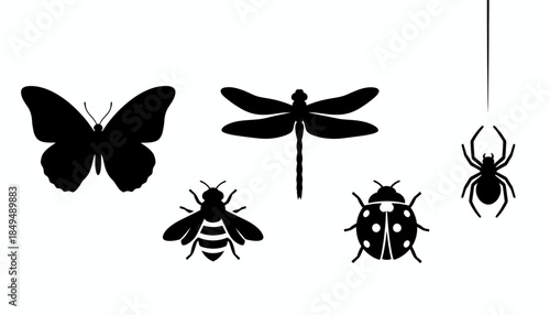 Insect silhouettes including butterfly, dragonfly, bee, beetle, and spider showcased against white background