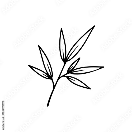 Bamboo leaves clipart isolated on transparent background