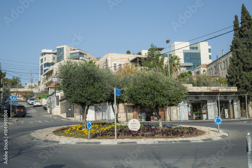 olive trees at the center of roundabout in Sheikh Jarrah in jerusalem