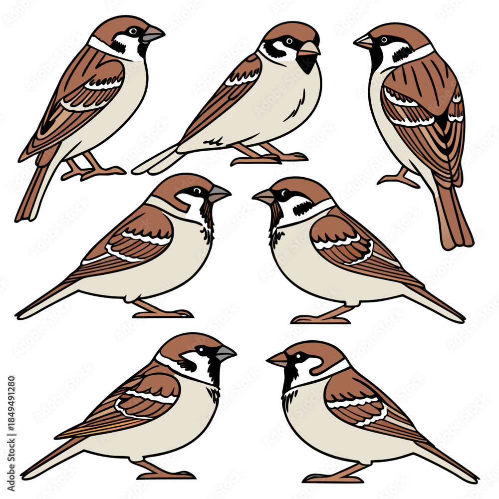 Fototapeta premium birds on a branch