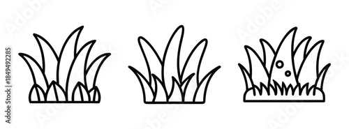 Simple Grass Blades Illustrations for Design and Decoration