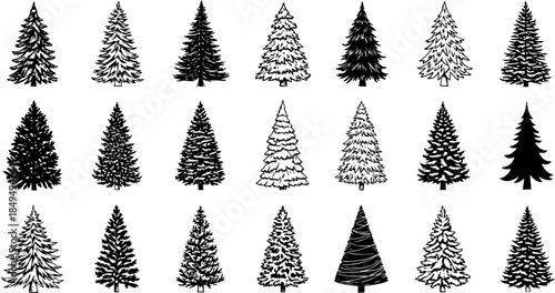 Collection of Diverse Hand-Drawn Pine and Fir Tree Illustrations