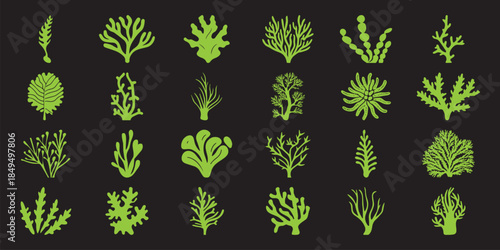 Collection of Green Seaweed and Algae Silhouettes on Black Background
