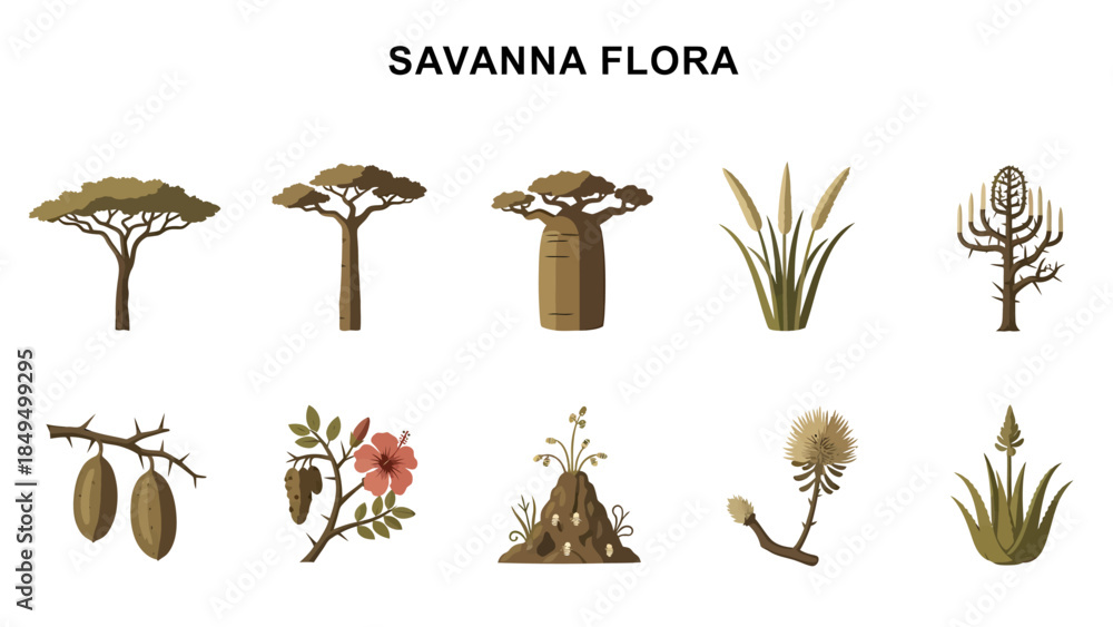 Αυτοκόλλητο Ten illustrations of African savanna flora including trees grasses and shrubs