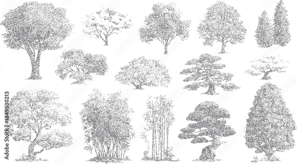 Fototapeta premium Collection of diverse trees and bamboo stalks rendered in a stippled grayscale style on a white background