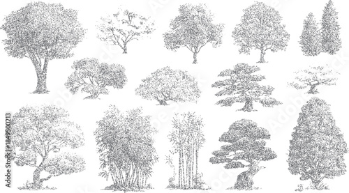 Collection of diverse trees and bamboo stalks rendered in a stippled grayscale style on a white background