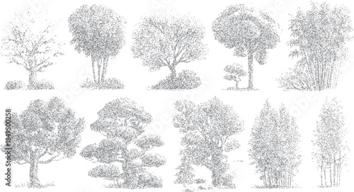 Collection of ten diverse trees and bamboo stalks rendered in a stippled grayscale style against a white background