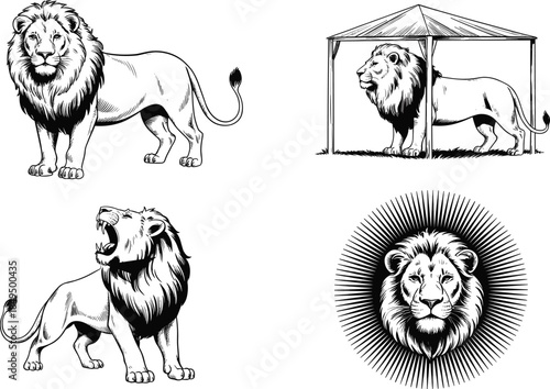 Four black and white lion in different poses and settings